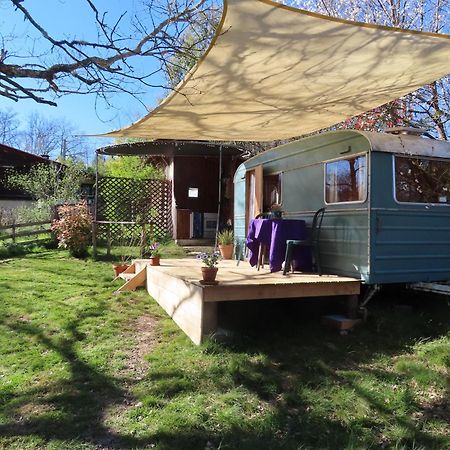 Cosy Cabane Montbrun-Bocage エクステリア 写真